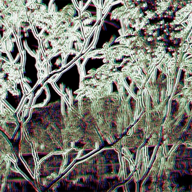 Hollow Earth Society EP cover art